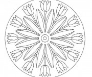 Coloriage Mandala Lotus Fleurs