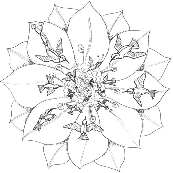 Coloriage Mandala Fleurs Et Oiseaux Dessin Gratuit à Imprimer