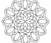 Coloriage Mandala Flocon Adulte sur ordinateur