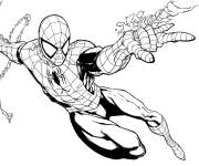 Coloriage Spider-Man dessin d&eacute;taill&eacute;