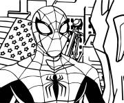 Coloriage Spiderman derri&egrave;re le drapeau am&eacute;ricain