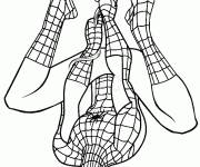 Coloriage Spiderman renvers&eacute; membre de Marvel