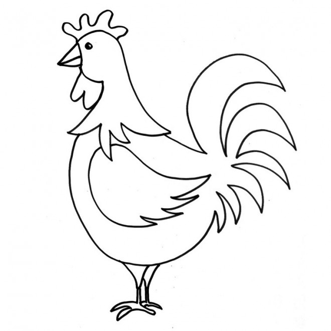 Coloriage D Animaux A Imprimer Gratuit