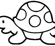 Coloriage Tortue Maternelle vectoriel