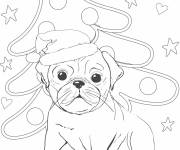 Coloriage Chien de Noel pour maternelle