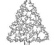 Coloriage Mon Beau Sapin en maternelle