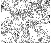 Coloriage et dessins gratuit Adulte Papillons à imprimer
