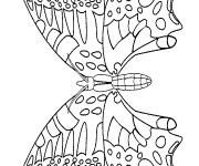 Coloriage Papillon Adulte couleur