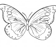 Coloriage Papillon Difficile stylis&eacute;