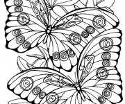 Coloriage et dessins gratuit Papillon Difficile vecteur à imprimer