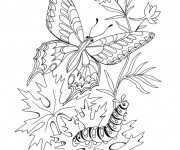 Coloriage Papillon et Ver en plein air