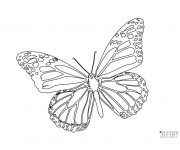 Coloriage et dessins gratuit Papillon Facile à colorier à imprimer