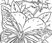 Coloriage Papillon Magique dans La Nature