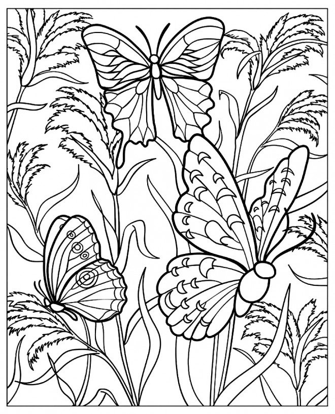 Coloriage et dessins gratuits Papillon Nature Difficile à imprimer