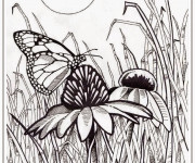 Coloriage Papillon sur Fleur Pour Adulte