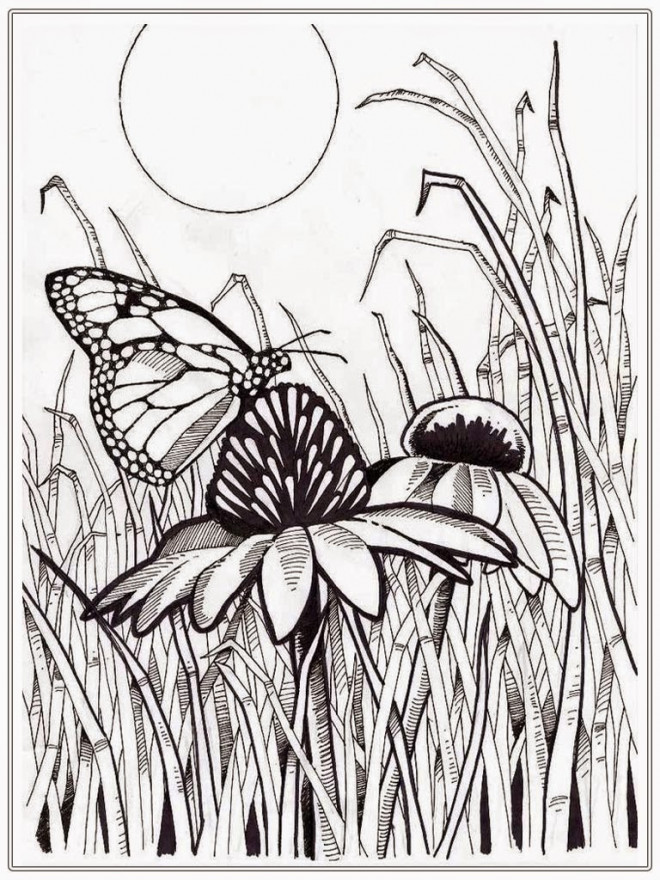 Coloriage Papillon Sur Fleur Pour Adulte Dessin Gratuit à