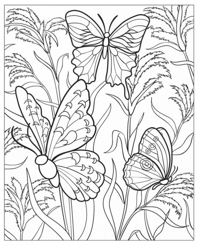 Coloriage et dessins gratuits Papillons multicolores à imprimer