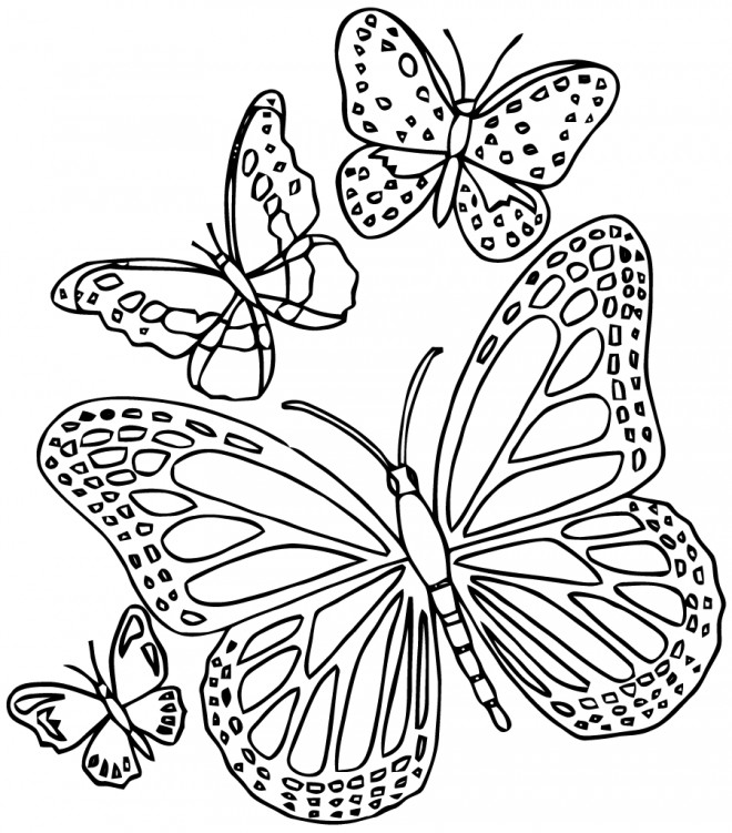 Coloriage Paysage de Papillon en Ligne dessin gratuit à ...