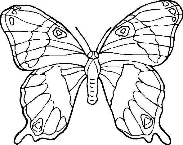 Coloriage Papillon à Découper Dessin Gratuit à Imprimer