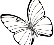 Coloriage Papillon Maternelle formidable