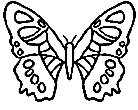 Coloriage Papillon Maternelle Vecteur Dessin Gratuit à Imprimer