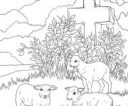 Coloriage Agneaux de P&acirc;ques avec couronne de J&eacute;sus