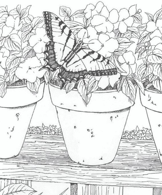 Coloriage et dessins gratuits Adulte fleurs et papillon à imprimer