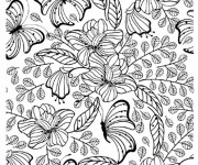 Coloriage Adulte Papillon vecteur