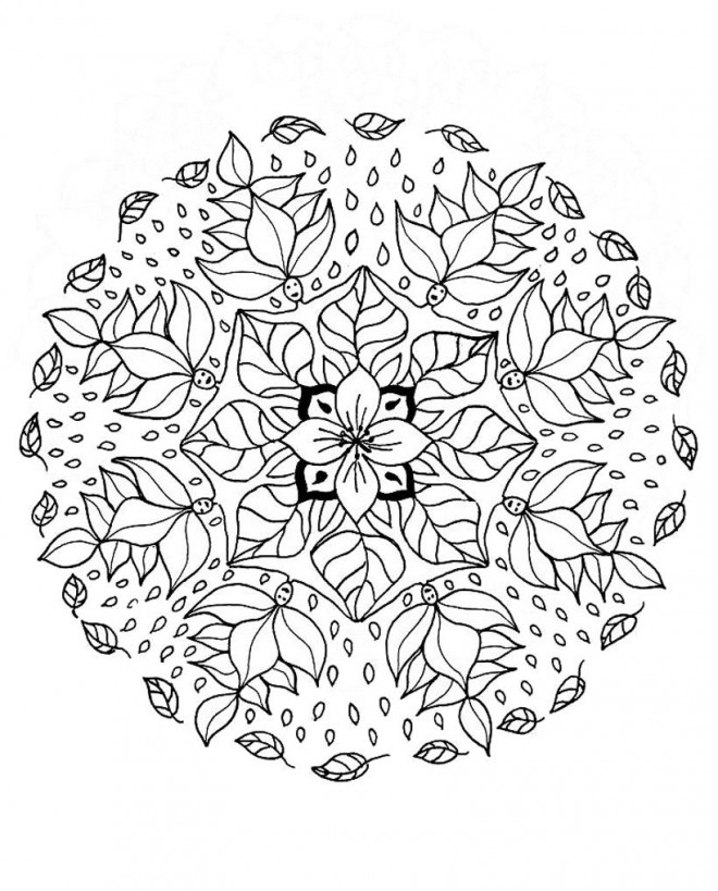 Coloriage Adulte Gratuit A Imprimer