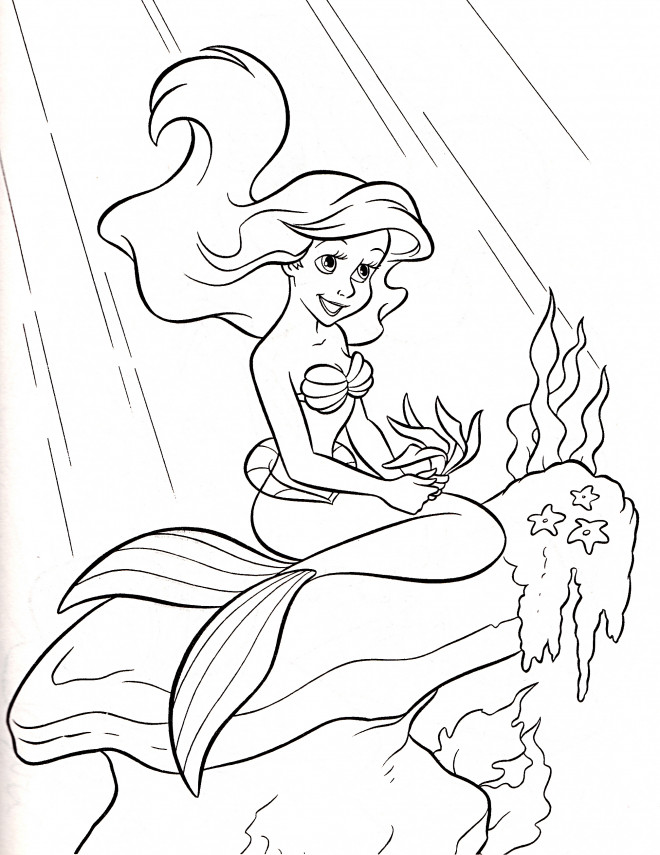 Coloriage et dessins gratuits Princesse Ariel collect les algues à imprimer