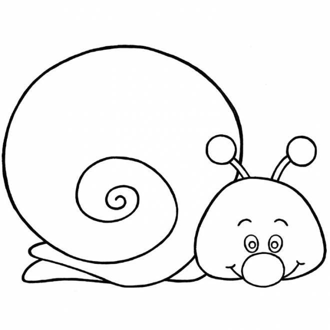 Coloriage D Escargot A Imprimer