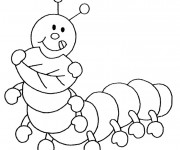 Coloriage et dessins gratuit Insecte Rigolo à imprimer