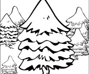 Coloriage Sapin dans la Forêt