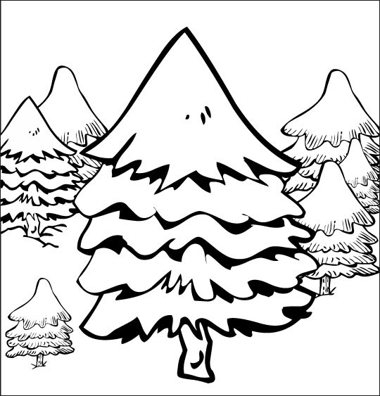 Coloriage Sapin Dans La Forêt Dessin Gratuit à Imprimer