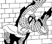 Coloriage et dessins gratuit Spiderman escalade le mur à imprimer
