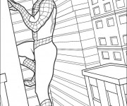 Coloriage Spiderman escalade les bâtiments