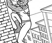 Coloriage Spiderman tient aux murs