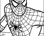 Coloriage Spiderman Facile &agrave; d&eacute;couper