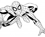Coloriage Super H&eacute;ros Marvel Spider Man