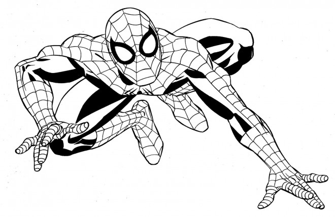 Coloriage Super Héros Marvel Spider Man dessin gratuit à imprimer