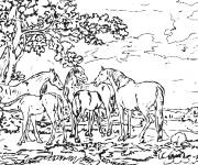 Coloriage Juments et poulains dans le paysage par George Stubbs