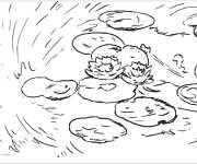 Coloriage N&eacute;nuphars