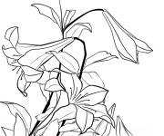 Coloriage Tableau Lys de Katsushika Hokusai