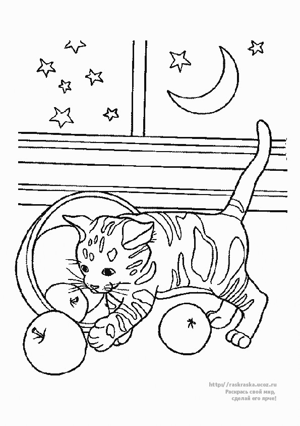 Coloriage Chaton Trop Mignon A Imprimer