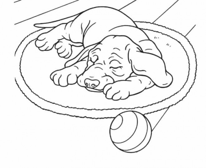 Coloriage Trop Mignon Gratuit A Imprimer