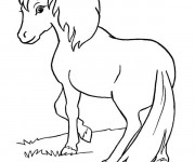 Coloriage et dessins gratuit Petit cheval Trop Mignon à imprimer