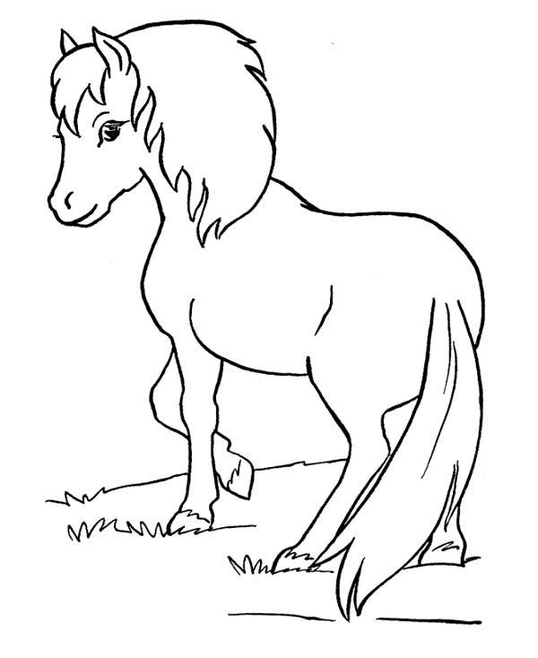 Coloriage et dessins gratuits Petit cheval Trop Mignon à imprimer