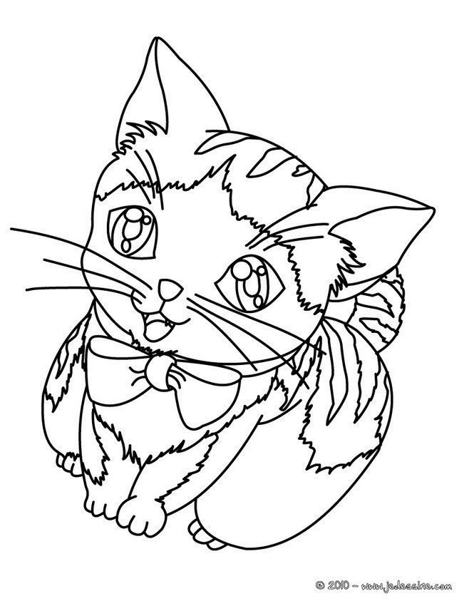 Coloriage Un Chat Trop Mignon Dessin Gratuit A Imprimer