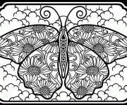 Coloriage Jolie papillon en vitrail cp