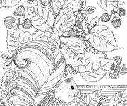Coloriage et dessins gratuit Canada Xxl à imprimer